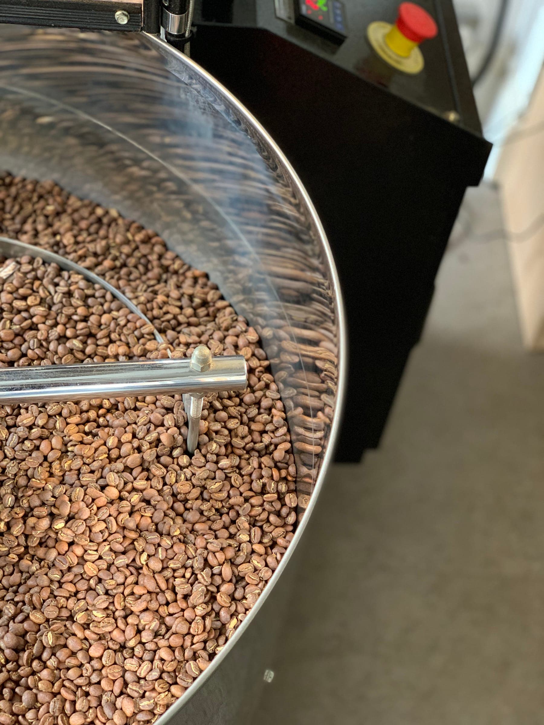 Freshly roasted coffee beans cooling in the roaster's cooling tray